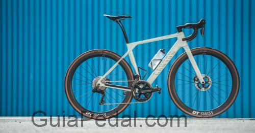 Canyon Endurace opinión y ficha técnica